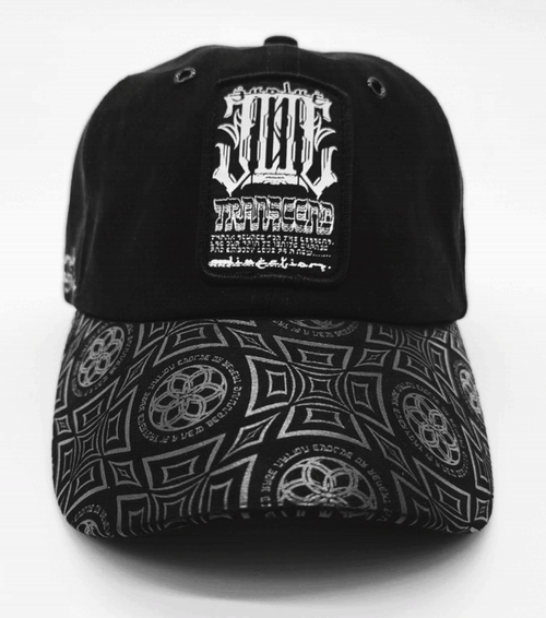 333 EVOLVE or REPEAT ✦ Dad Hat